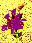 Orchids-1